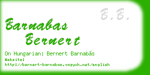 barnabas bernert business card